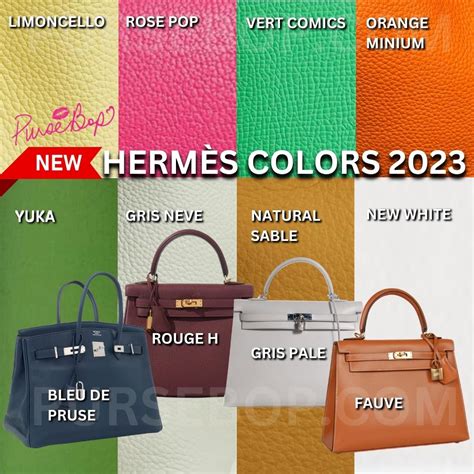 hermes color caban|hermes luggage color chart.